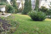 Top Westerburg