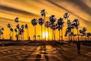 Top Los Angeles