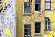 Top Vienna