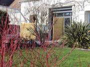 Gîte charmant avec piscine chauffée, proche dAmboise et des châteaux de la Loire - FR-1-381-524