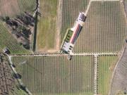 Top Covilhã Top Covilhã