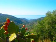 Top San Mauro Cilento