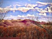 Top Poiana Mărului Top Poiana Mărului