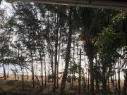 Top Cherai Beach