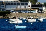 Top Roscoff