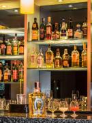 Top Querétaro Top Querétaro