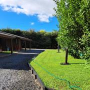 Top Freire Top Freire