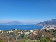 Top Sorrento