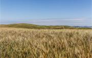 Top San Quirico dʼOrcia