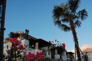 Gracious flat with swimming pool and solarium