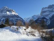 Top Grindelwald