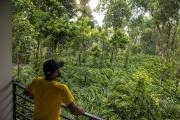 Top Munnar
