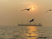 Top Alibaug