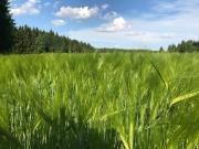 Top Nové Město na Moravě