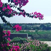 Top Ágios Nikólaos