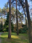 Top Tuszyn Top Tuszyn