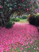 English Gardens - Garden Retreat