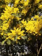 Top Saint-Jean-de-Monts