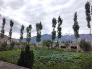 Top Nubra