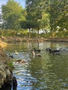 Top Arjona Top Arjona