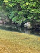 シーラニ白浜荘