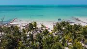 Top Isla Holbox