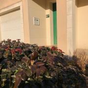 Top Montfort-le-Gesnois