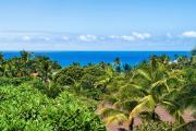 Top Kailua-Kona