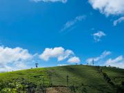 Top Vagamon
