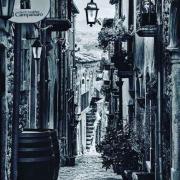 Top Taurasi Top Taurasi