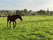 Gîtes du château de la Motte