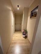 Top Villarrica Top Villarrica