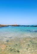 Top Cotillo