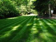Top Brasschaat