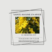 Top Sainte-Maxime