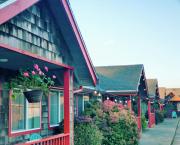 Top Pacific City