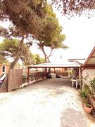 Top Porto Pino