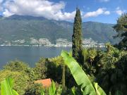 Top Pino Lago Maggiore