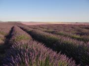 Top Moustiers-Sainte-Marie