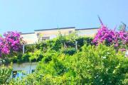 Top Budva Top Budva