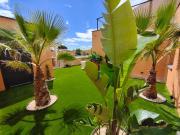 Top Mirepeisset Top Mirepeisset