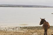 Top Milford on Sea