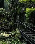 Top Pom Prap Top Pom Prap