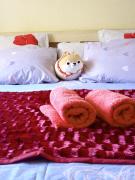 Апартаменти в центрі Львова - Личаківська, Госпіталь