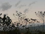 Top Sabana Redonda