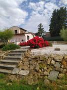 Le Macine di San Salvadore