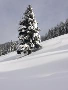 Top Dienten am Hochkönig