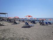 A stones throw from everything