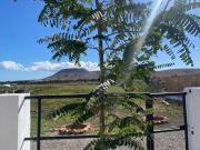 Top Valles de Ortega