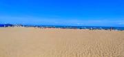Top Denia
